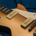 Guitar_DSC_5233_Goldtop.jpg